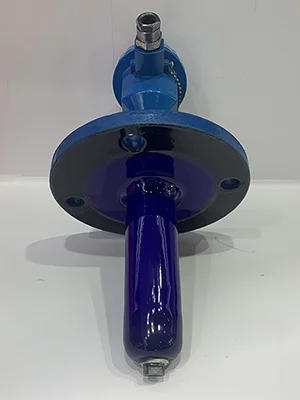 Glass-Lined Thermowell with RTD