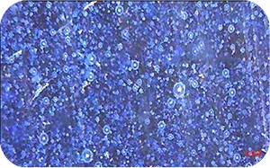 Enamel Surface at 1000× Magnification